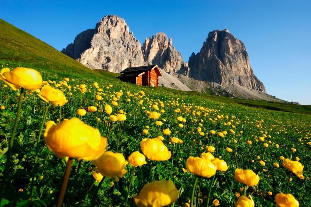 Hotel Col Di Lana Канацеї Екстер'єр фото